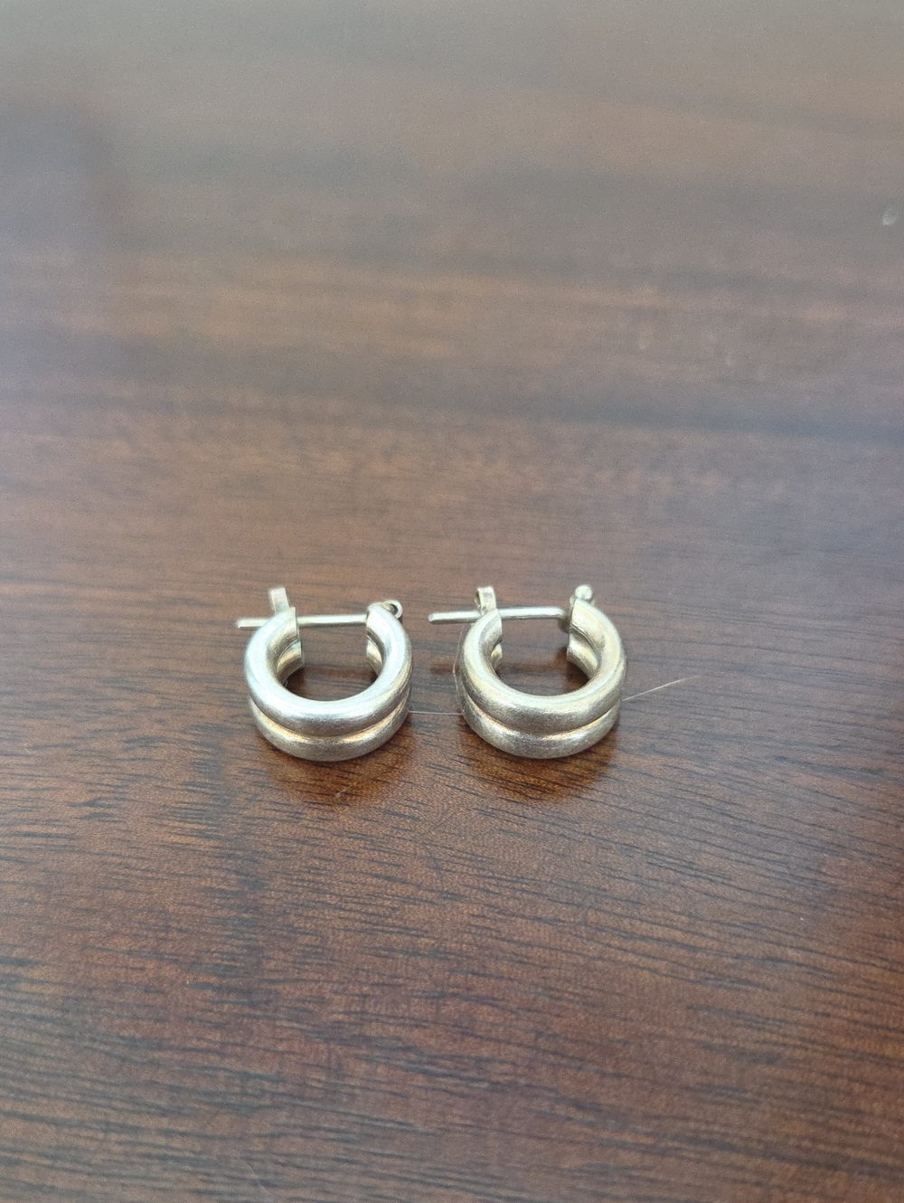 Classic Steeling Silver Double-Row Hoop Earrings